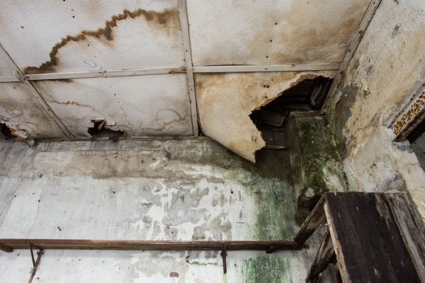 Water Damage Service in Venice
