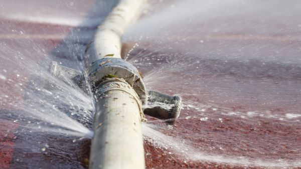 Burst Pipe Cleanup in Venice