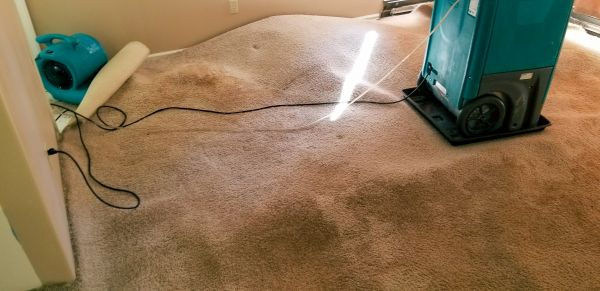Flood Damage Cleanup in Venice