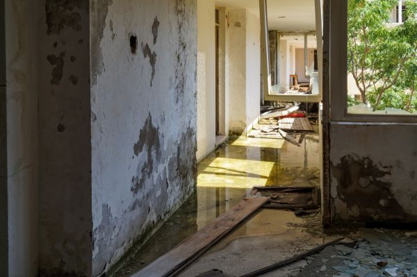 Water Removal Service in Venice