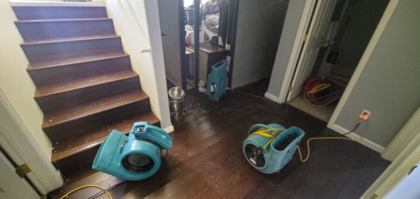 Water Damage Remediation in Venice