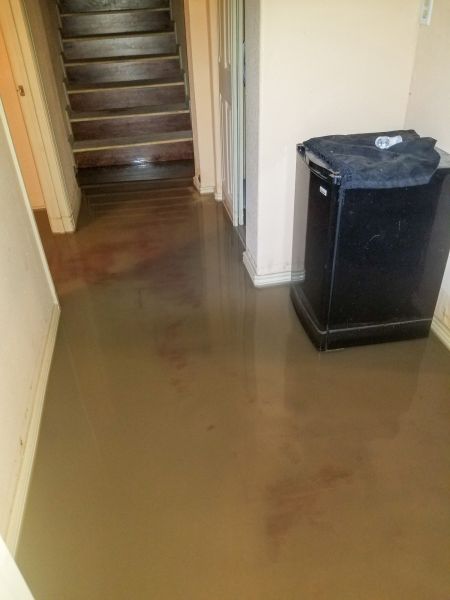 Emergency Water Removal in Venice