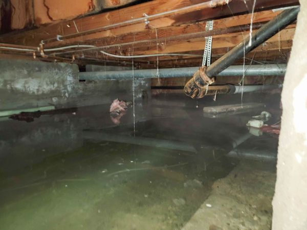 Cost of Crawl Space Drying in Venice
