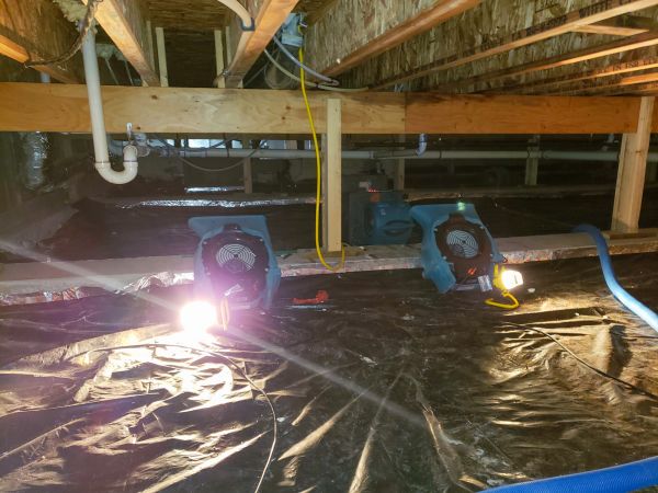 Crawlspace Water Removal in Venice