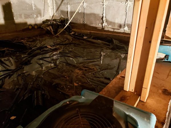 Crawlspace Water Cleanup in Venice